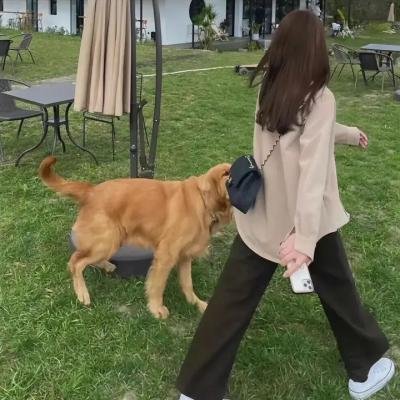 回来的女儿